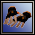 Black Bird Glove[7D]