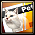 Pet Persian